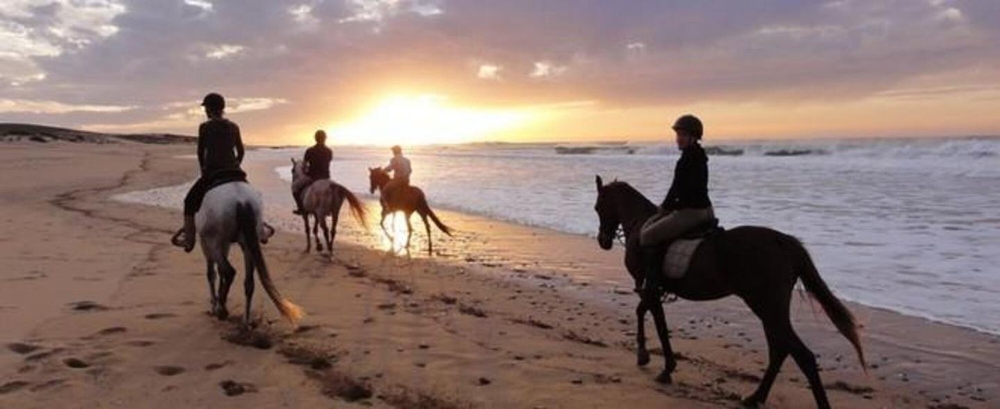 Hammamet: Horseback riding along the beach