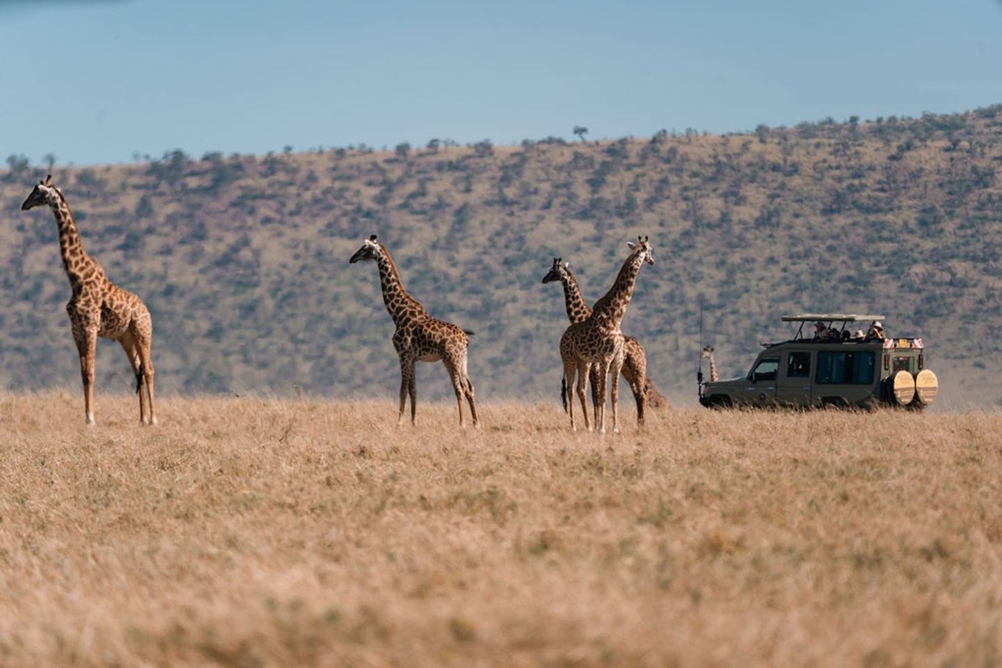 Kenya Safari & Zanzibar Beach Tour Package (Year Round)