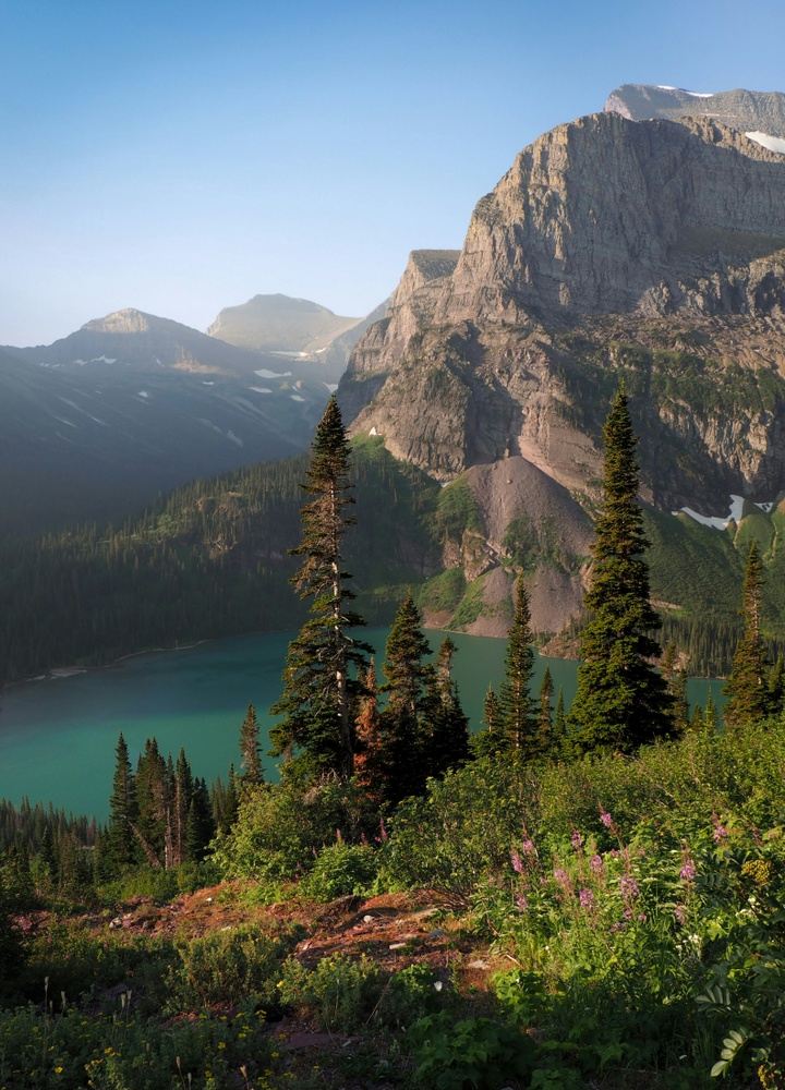 RHS June 26 Montana