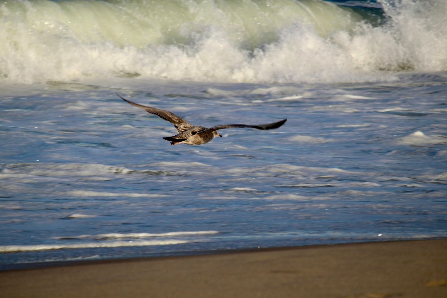 KindWrite Studio Inaugural Writing Retreat at Rehoboth Beach