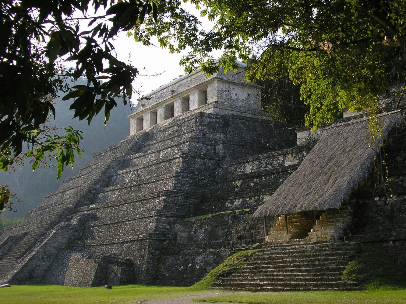 Chiapas Wilderness