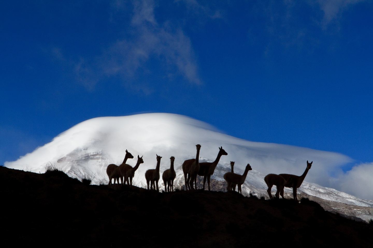 Full Day Chimborazo (Privado) desde Quito