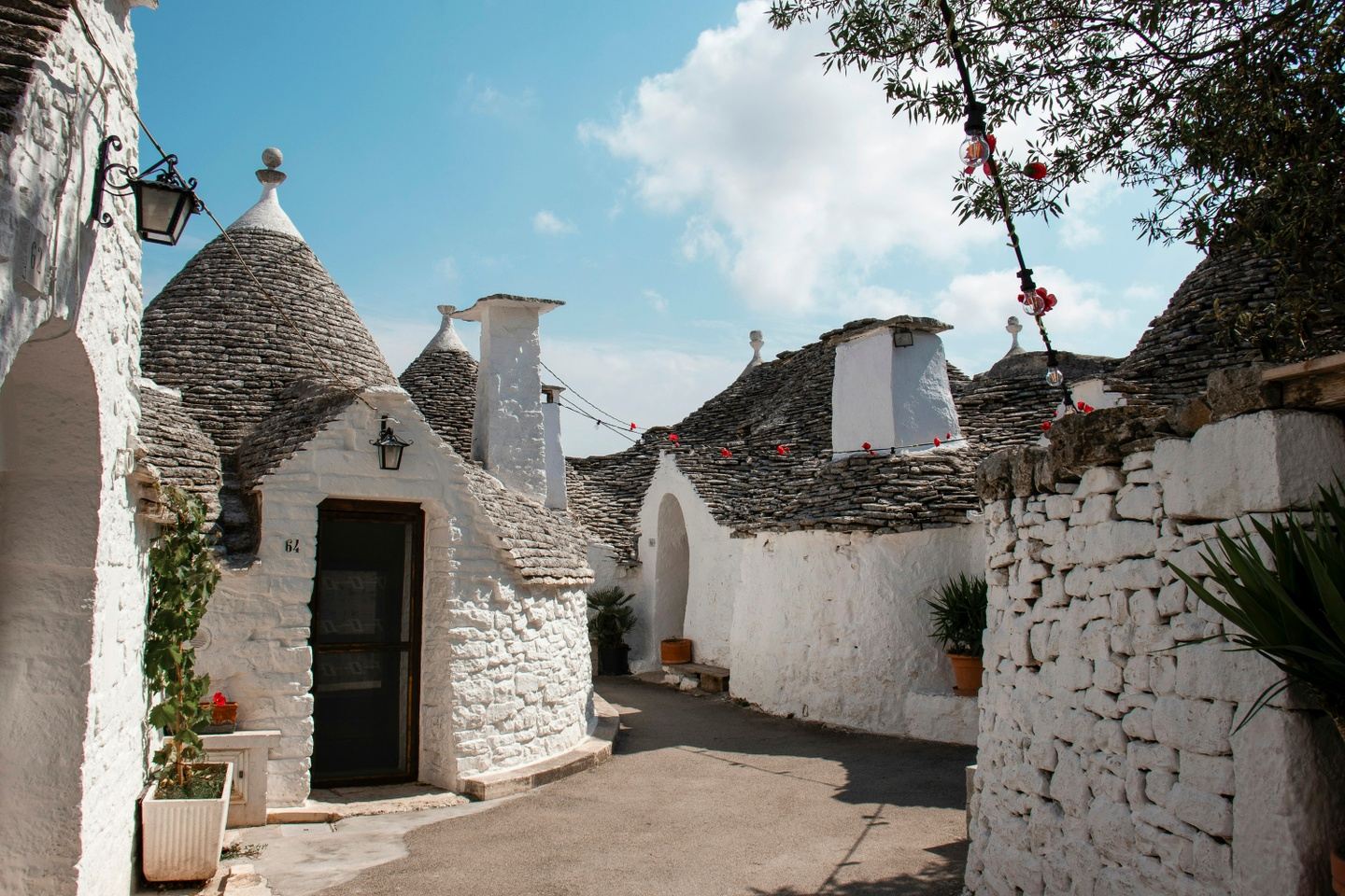 Taste of Puglia, Friuli & Croatia