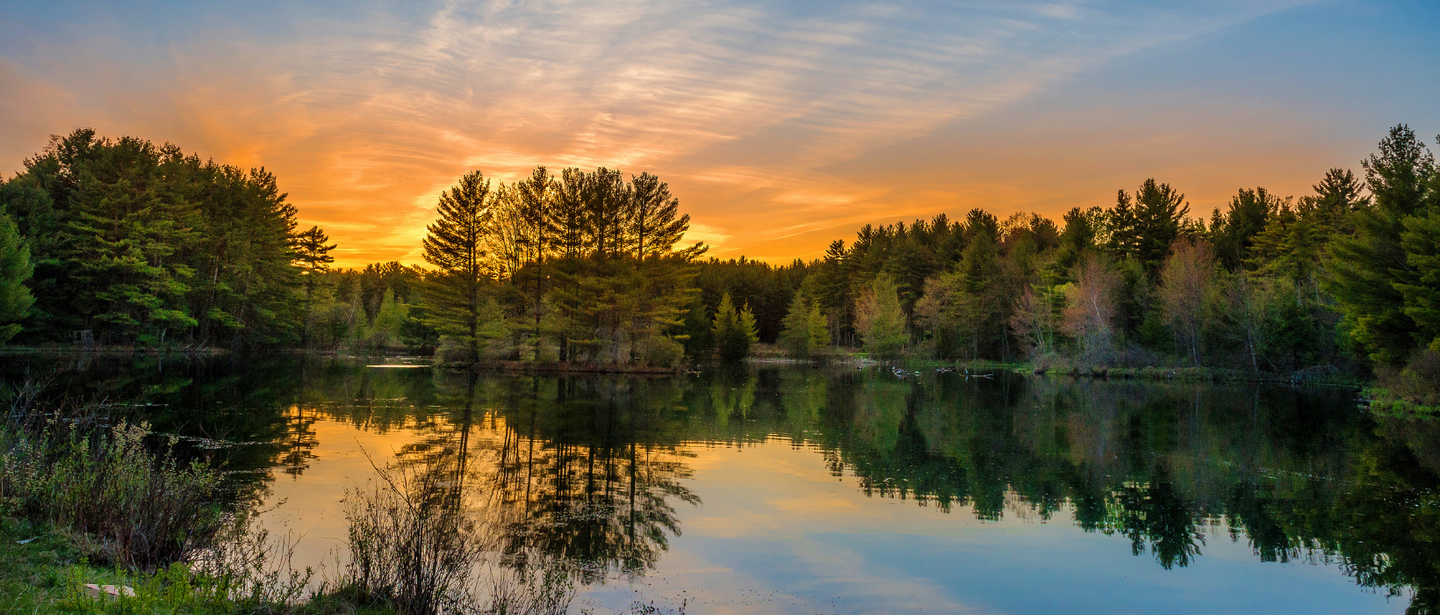 Meditation, food & yoga Retreat - Transformation Summer