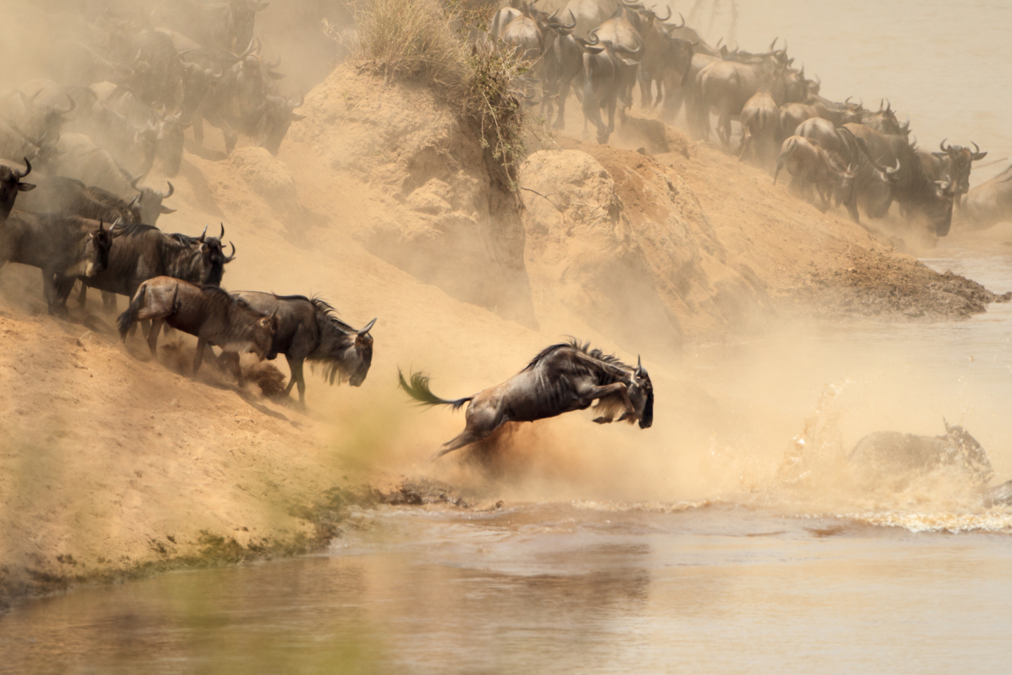 Kenya Migration Safari