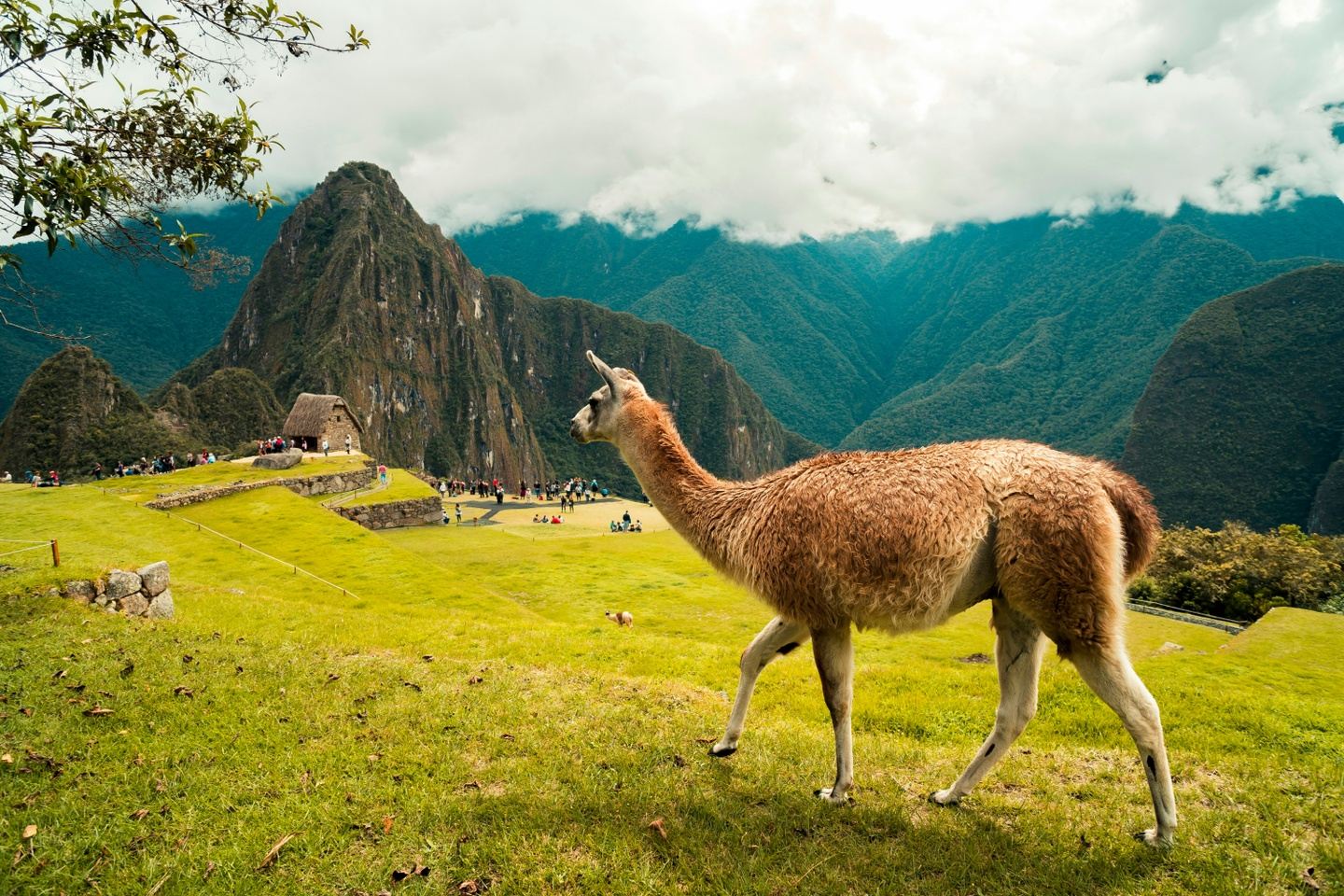 Peru with Janet's Journeys 2026