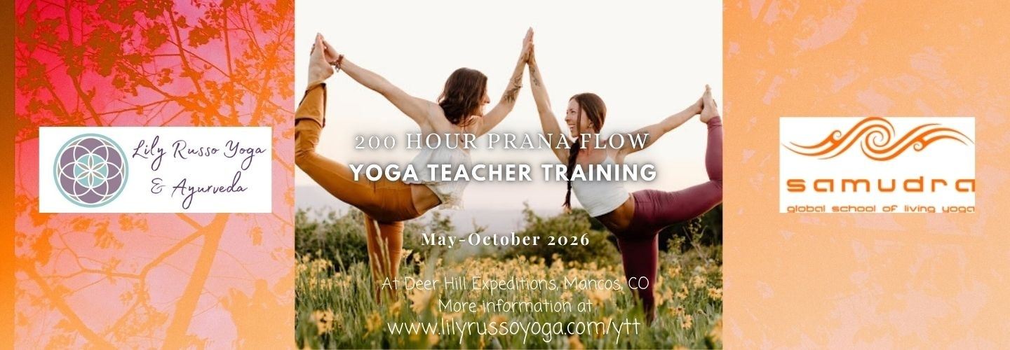 200 Hour Prana Flow Yoga Teacher Training