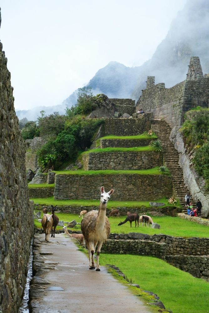 Camino Inca 4 Días – Tour Completo a Machu Picchu desde Cusco.