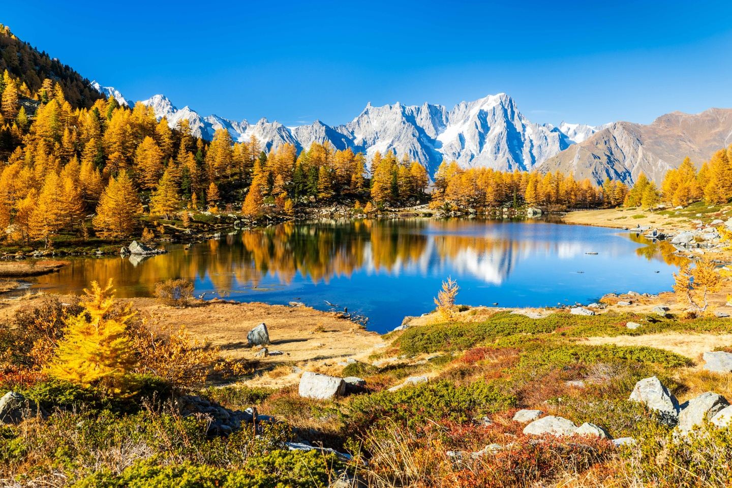 5 Day Women Foliage Mountain Trek & Vinyasa Yoga Retreat