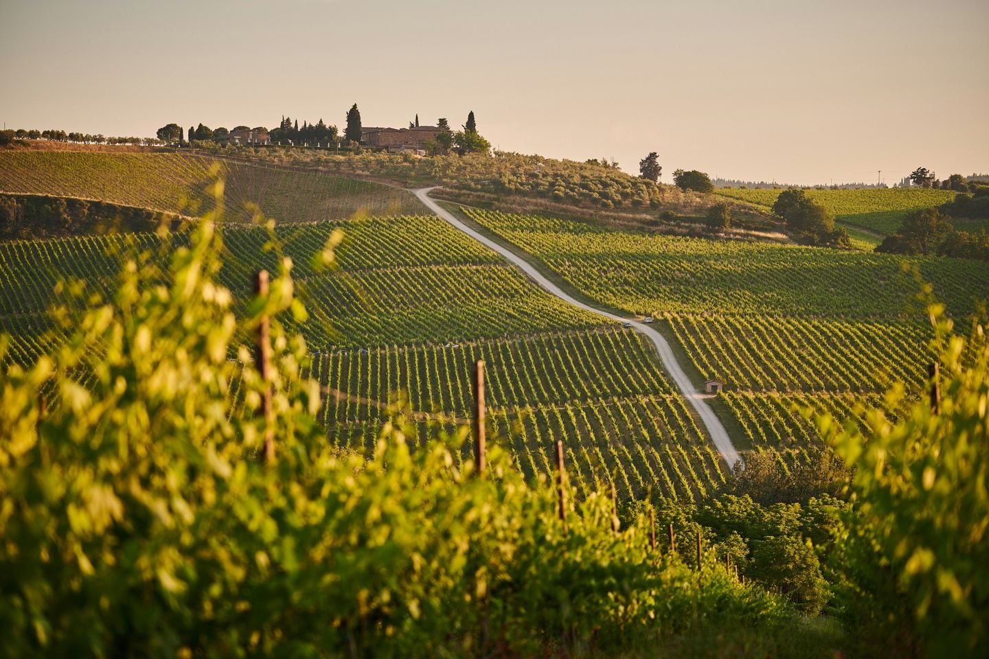 TUSCANY BY THE GLASS: Luxurious 9-Day Wine & Culinary Journey
