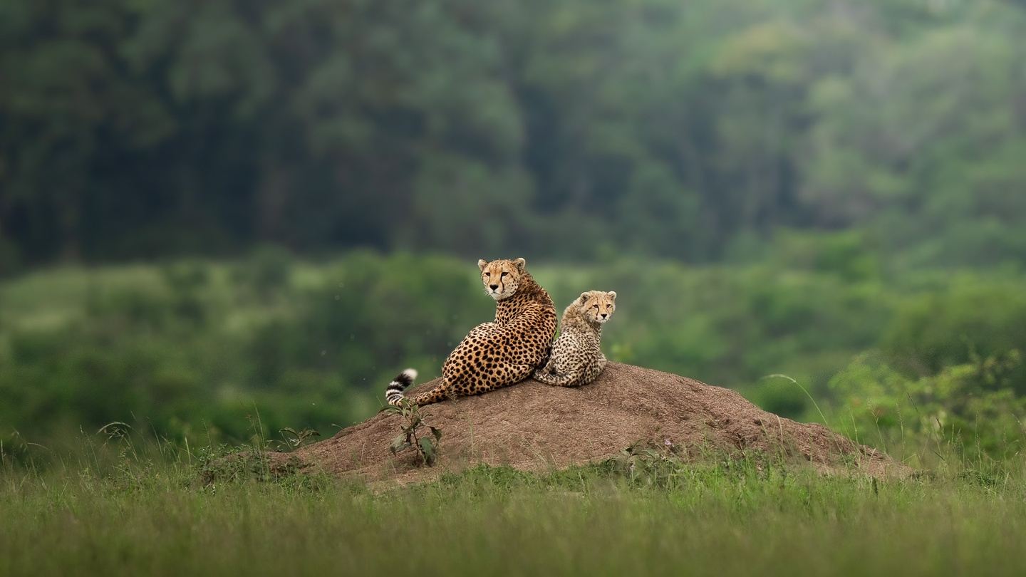 Kenya Photography Tour - 8 Days