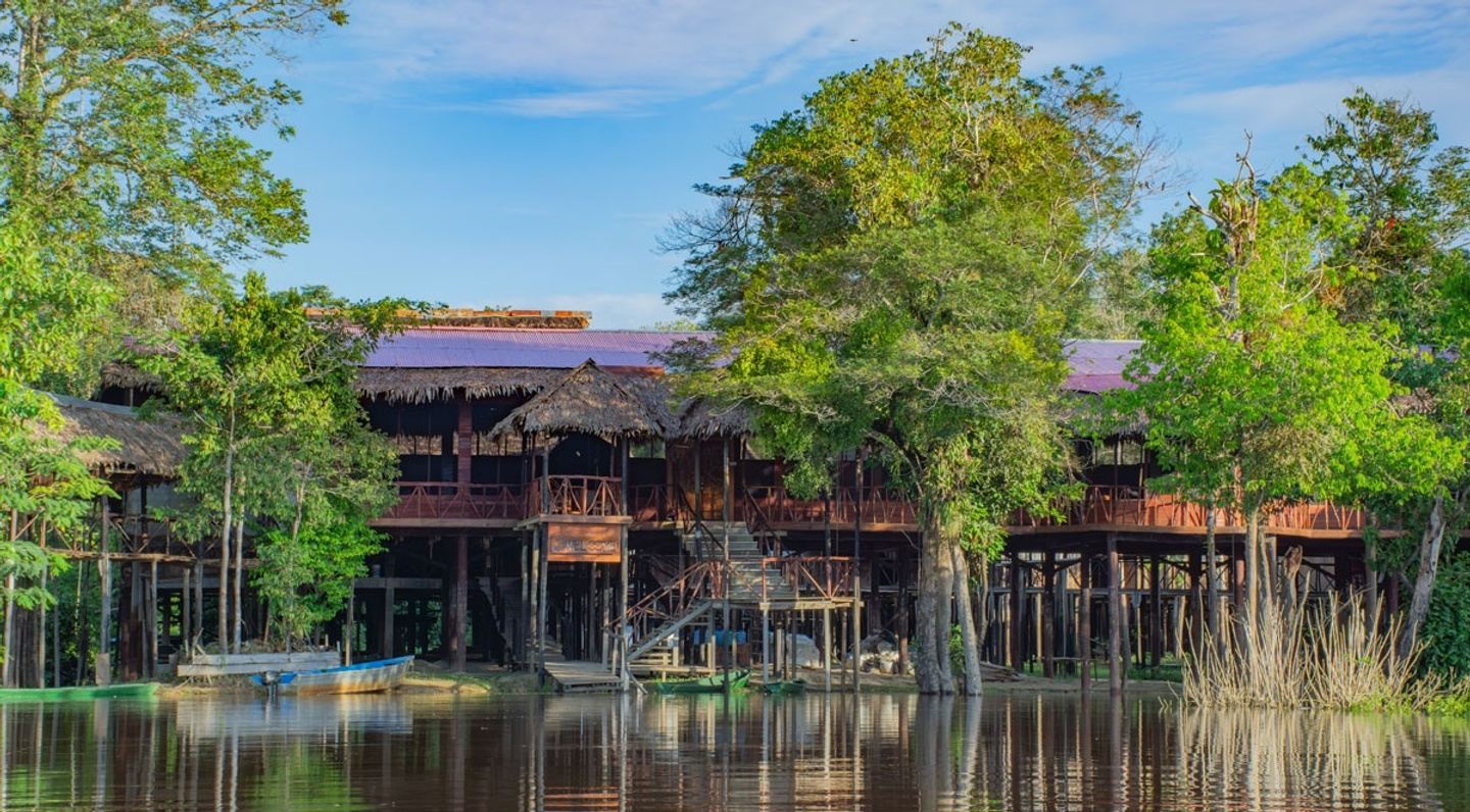 "Diary of an Amazon Jungle Guide"