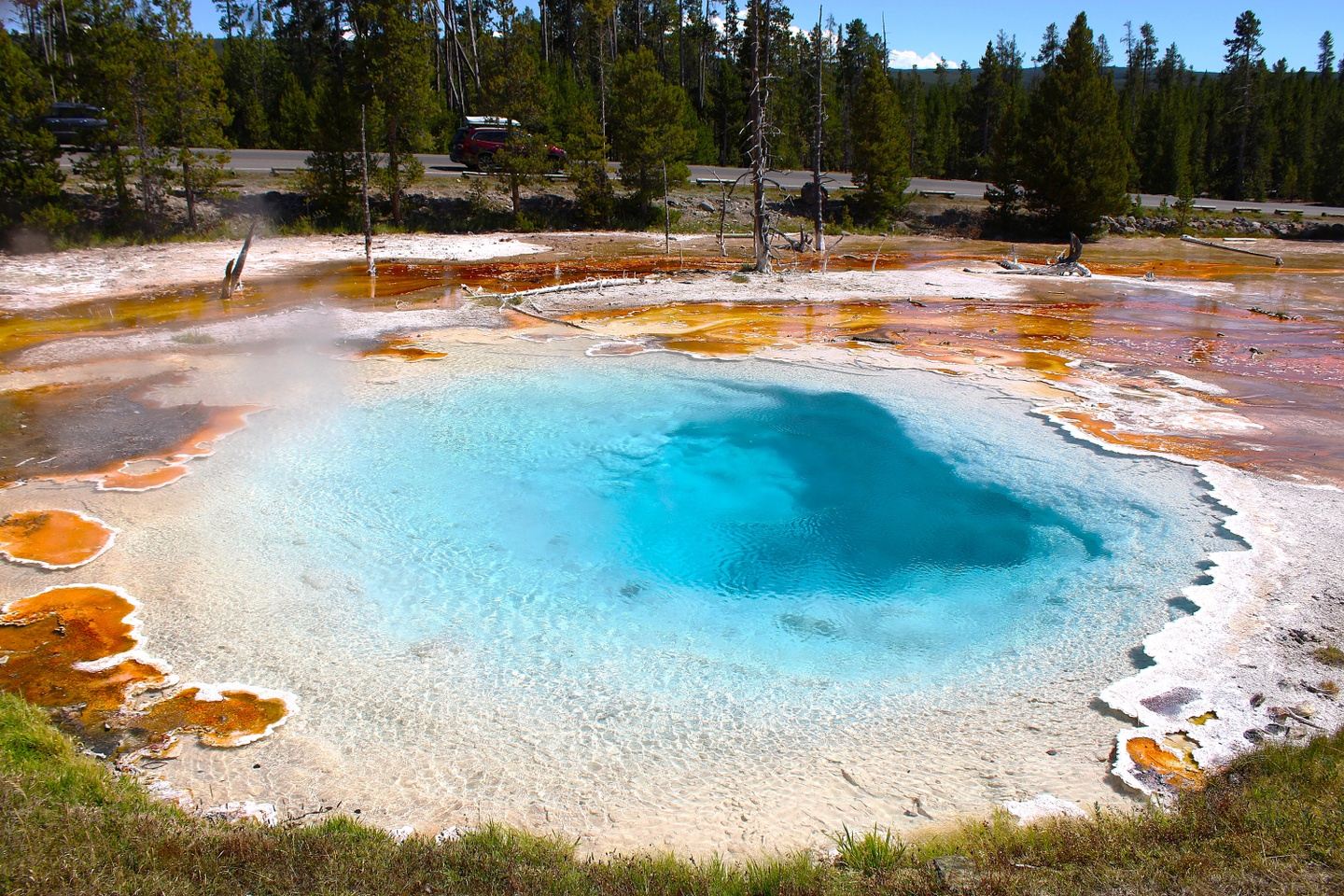 Yellowstone Lower Loop - Private Tour