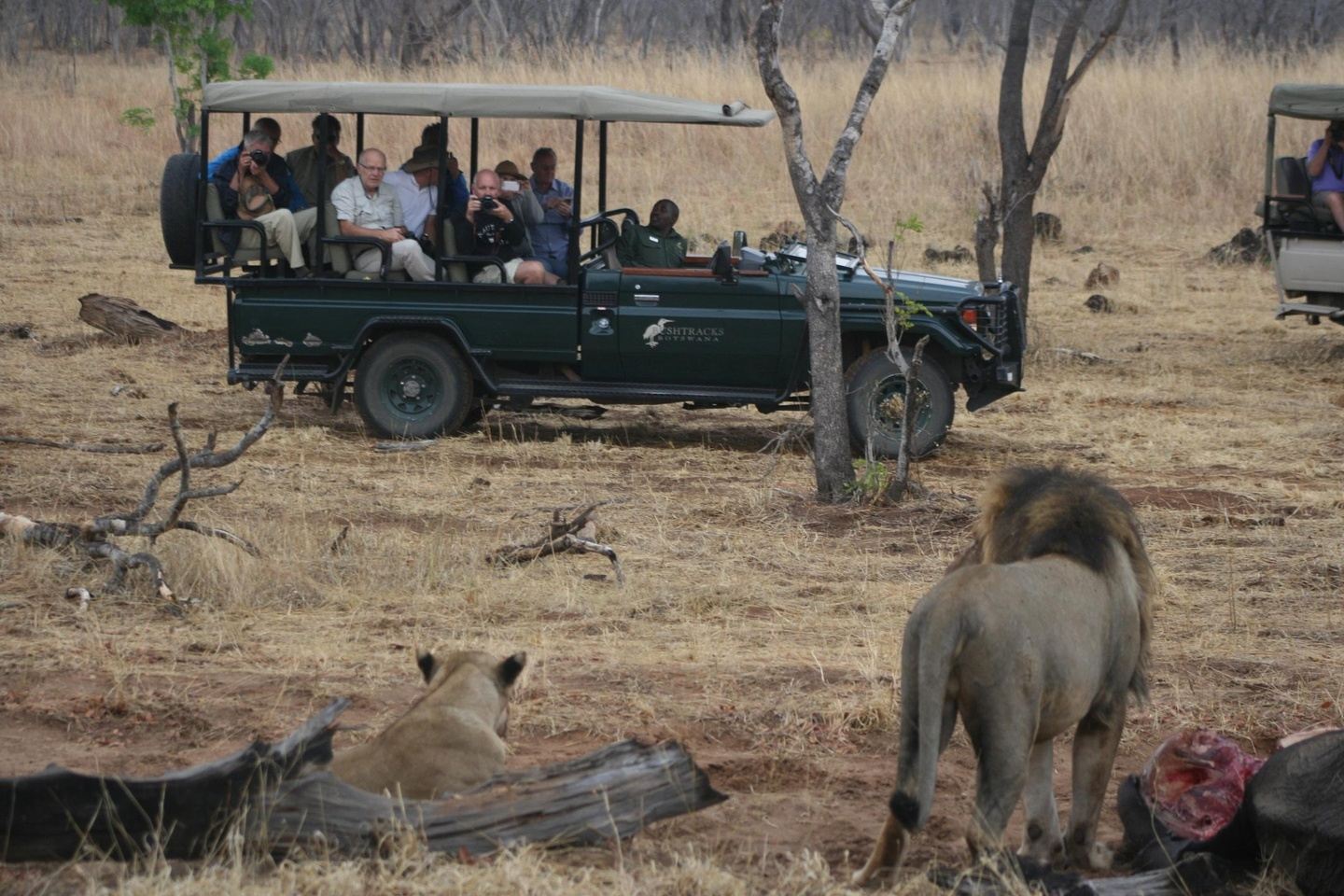 2-Day Mid-Range Safari to Hwange NP from Victoria Falls