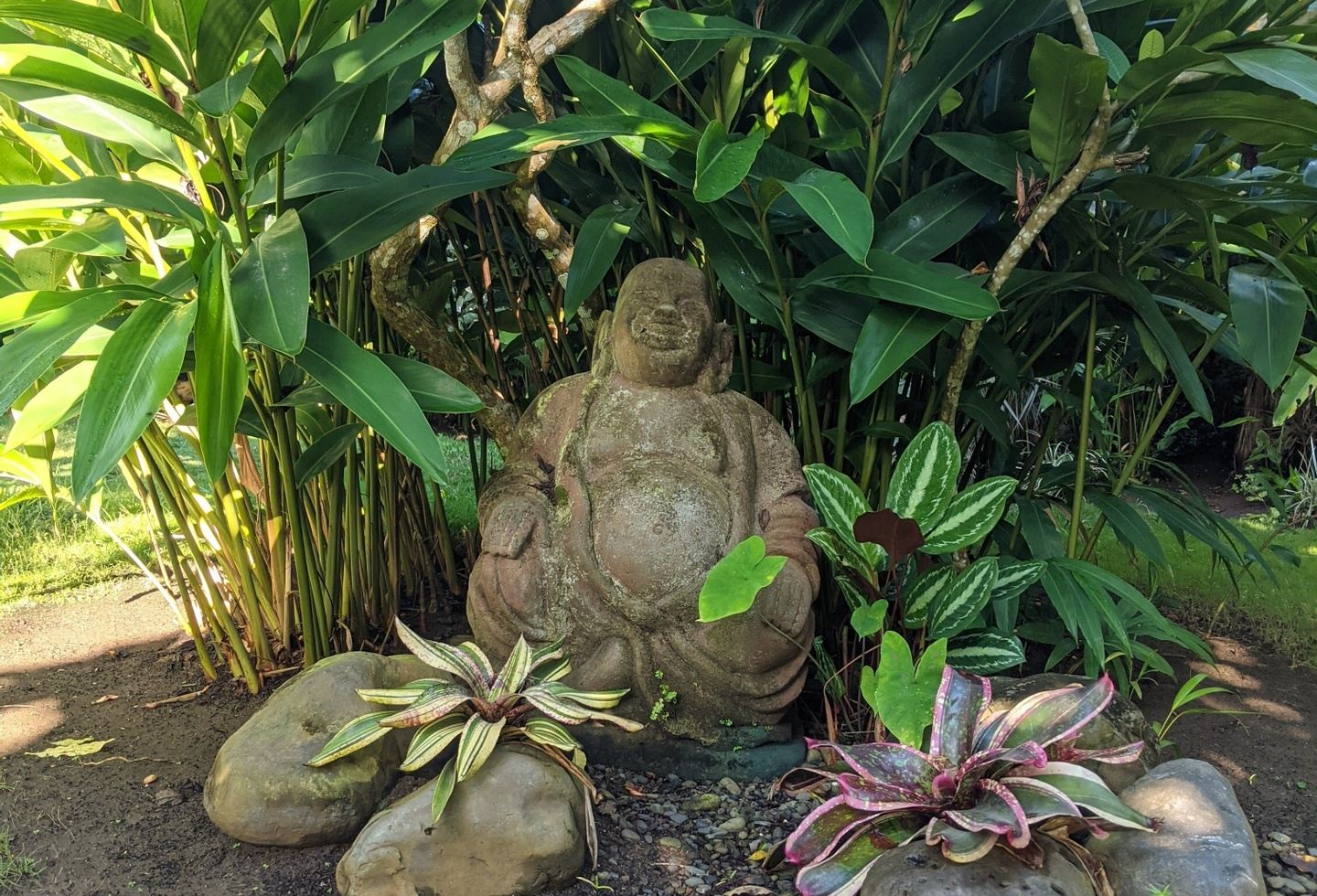 Costa Rican Oceanside Yoga Retreat