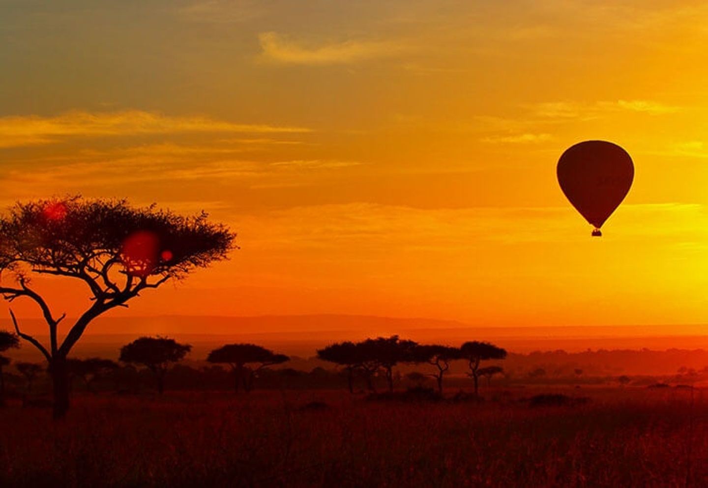Masai Mara Balloon Safari
