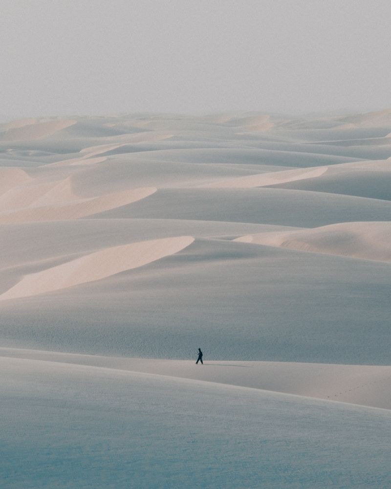 Lençóis Maranhenses with Ryan Tu