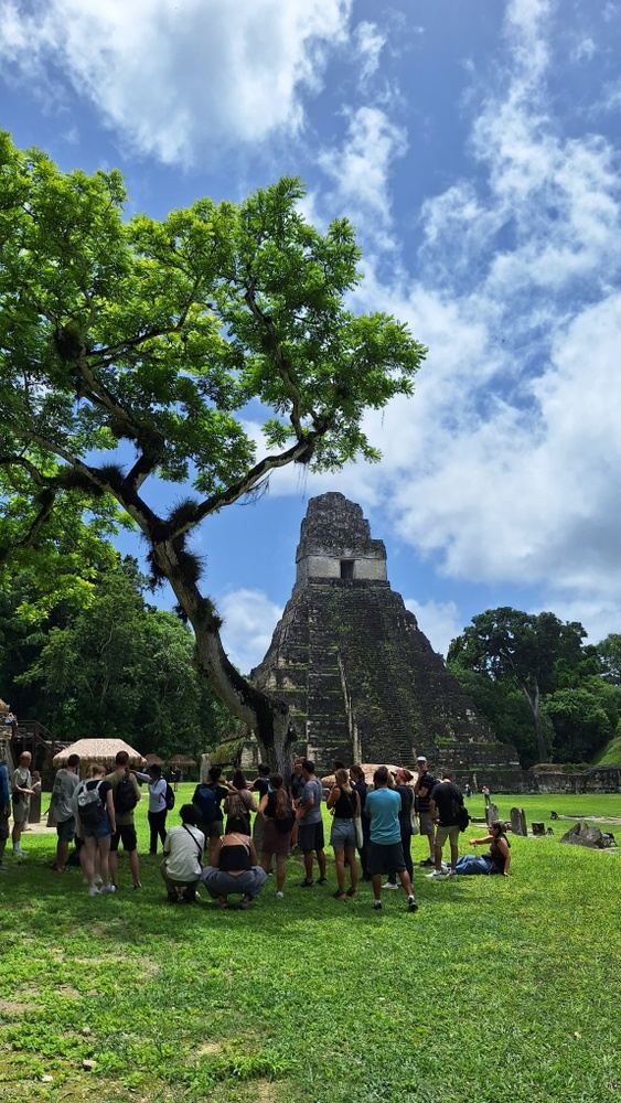 TOUR DE UN DÍA A TIKAL DESDE FLORES - photo 7