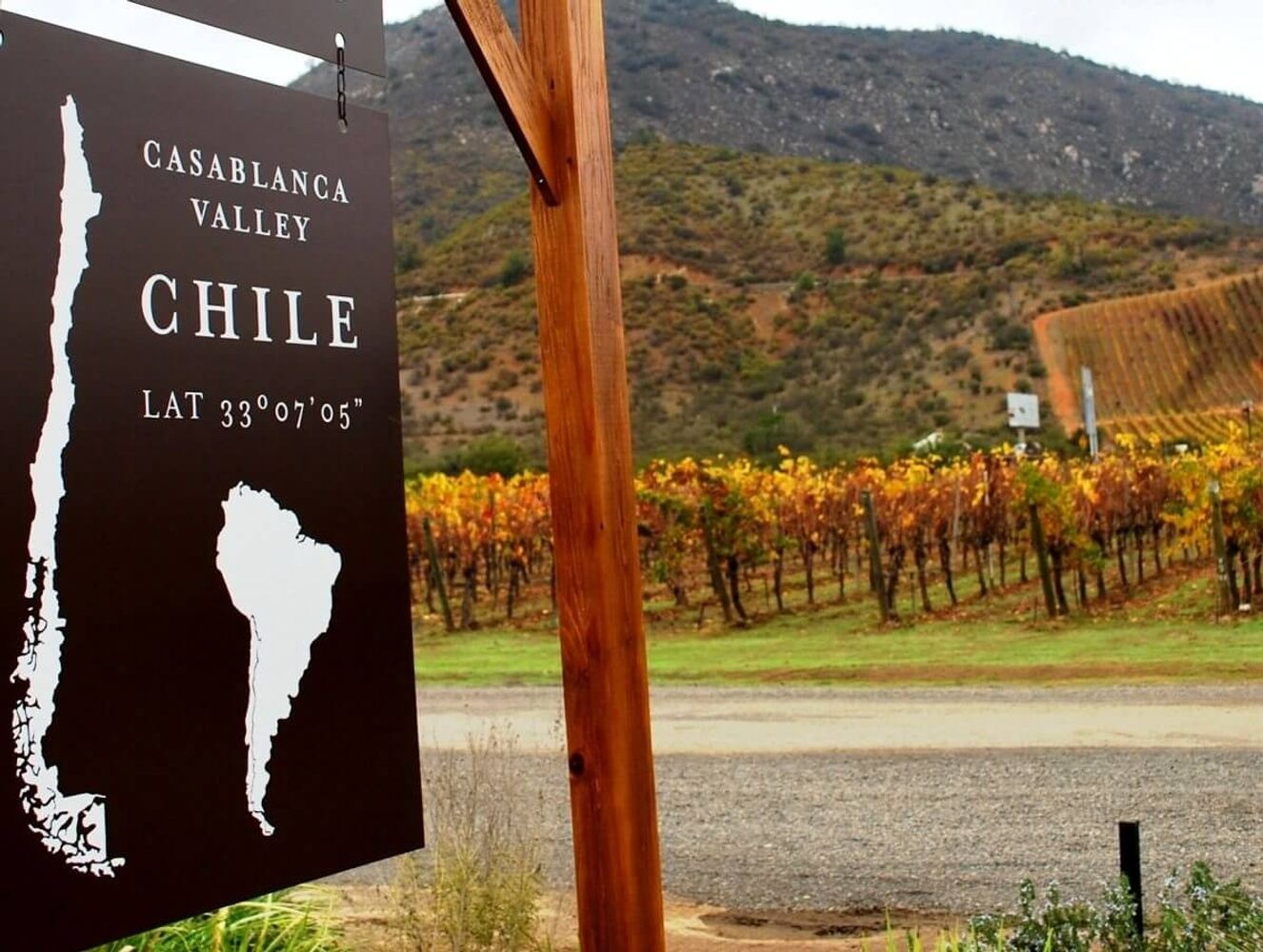 The Ultimate Journey Through Chile's Wine Soul