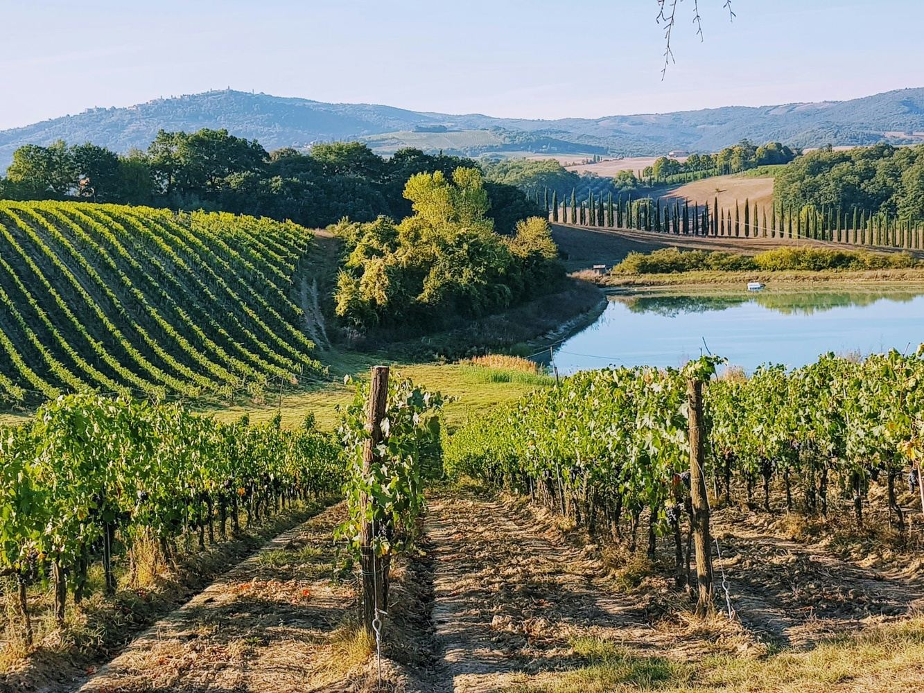 Live Like a Local - Tuscany 2026