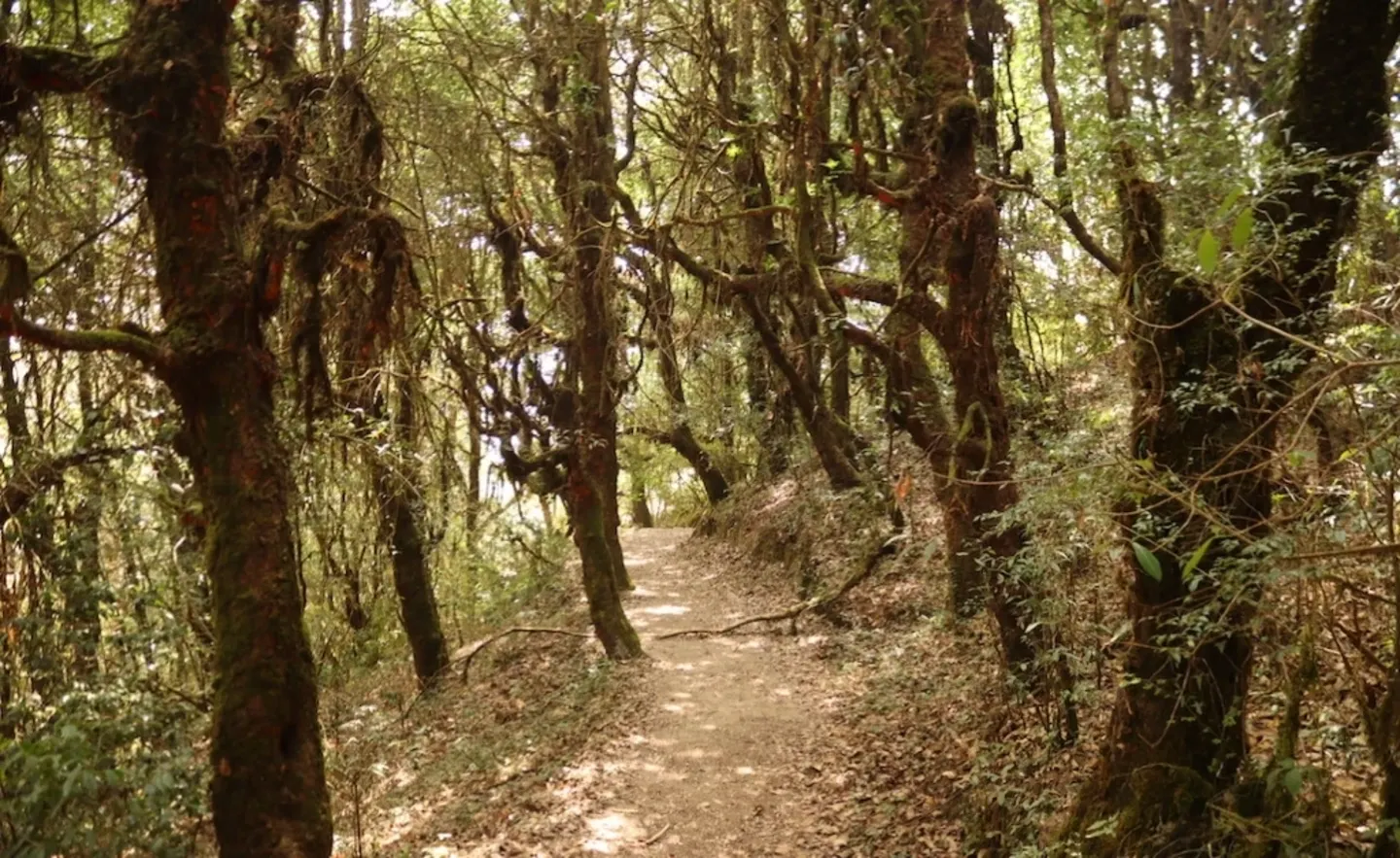 Chisapani Nagarkot Dhulikhel Trek - 4 Days Hike