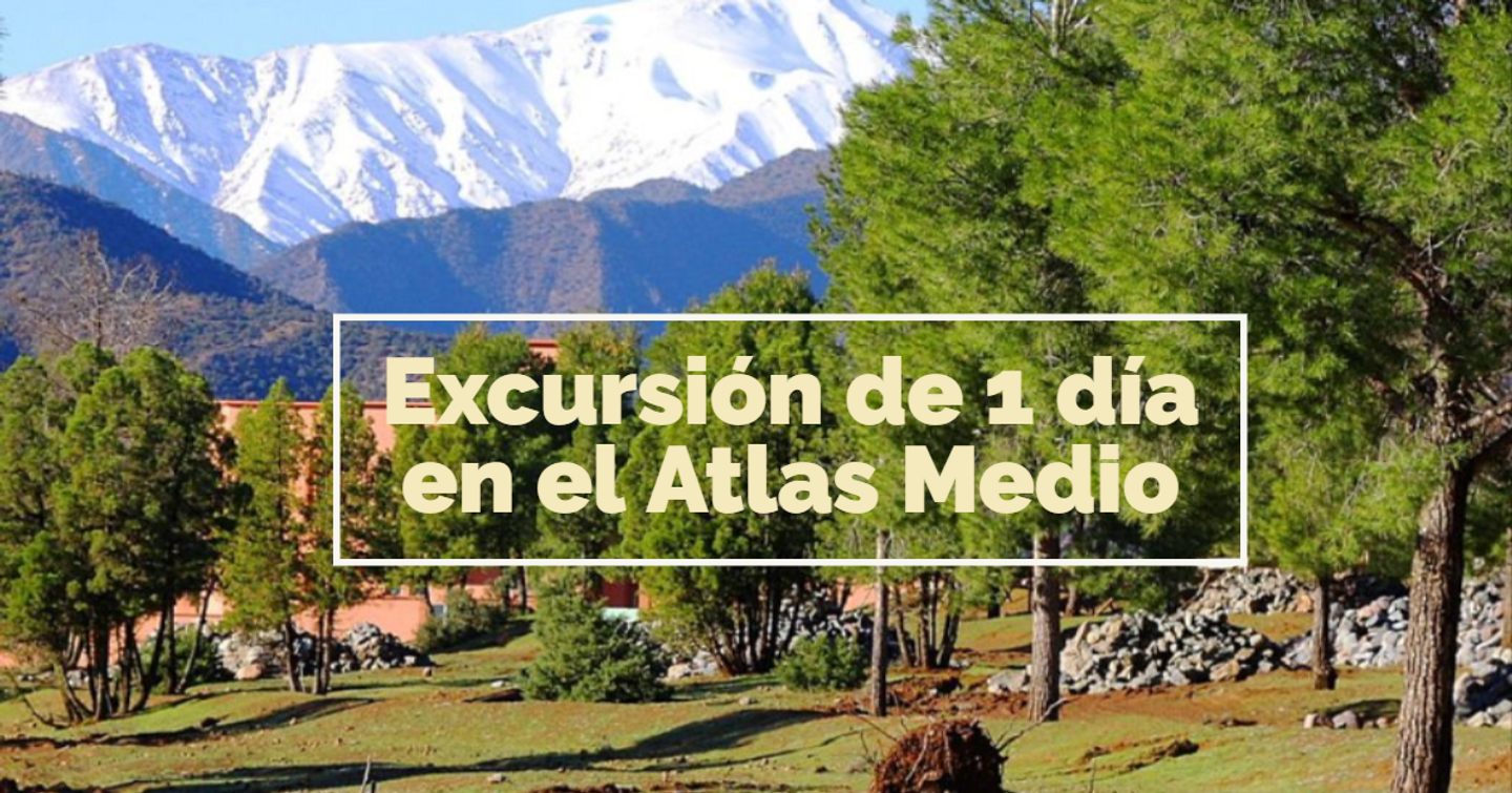 Excursión de 1 día en el Atlas Medio desde Fez