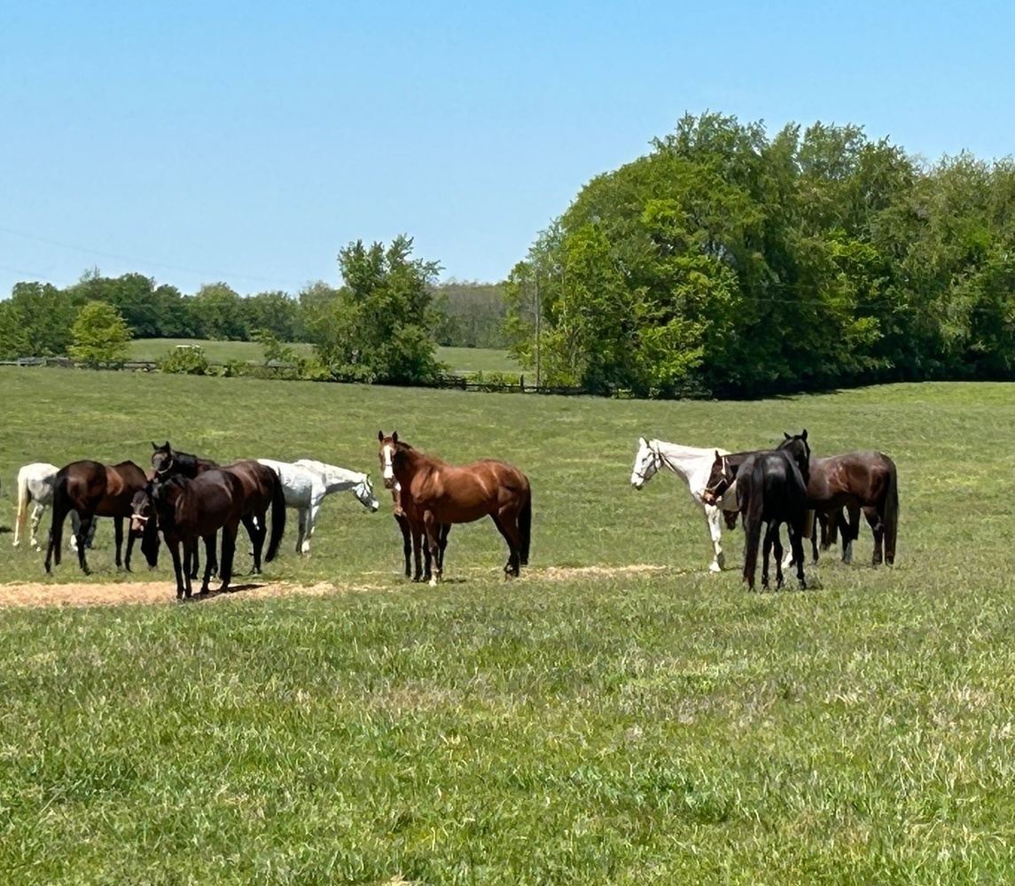 Kentucky Ramble Road Tour