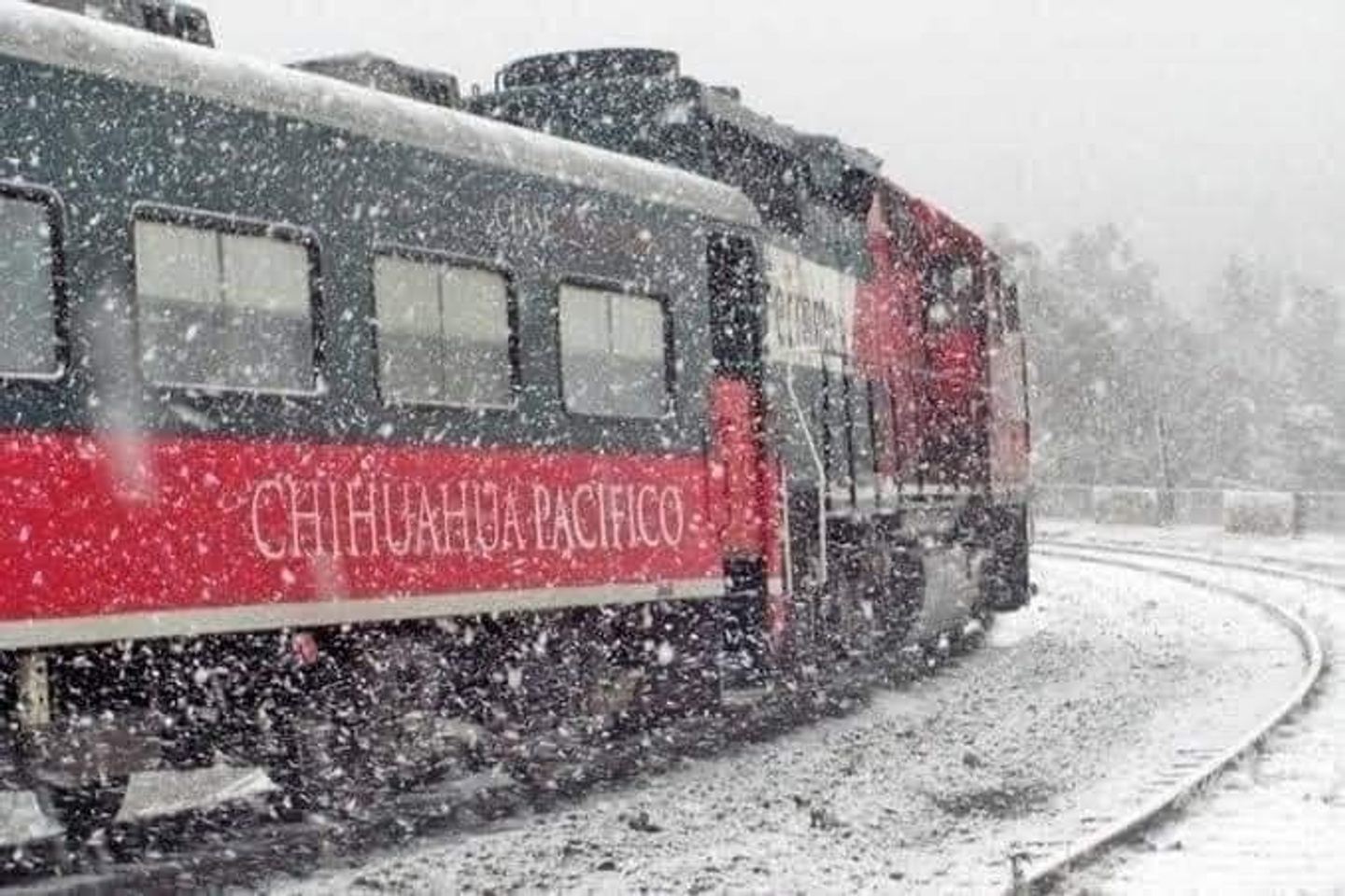 Barrancas del Cobre y Creel - Tren Chepe