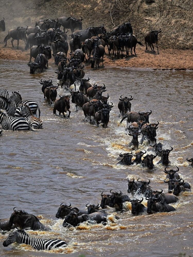 4-Day Serengeti, Ngorongoro & Tarangire Camping Marvel