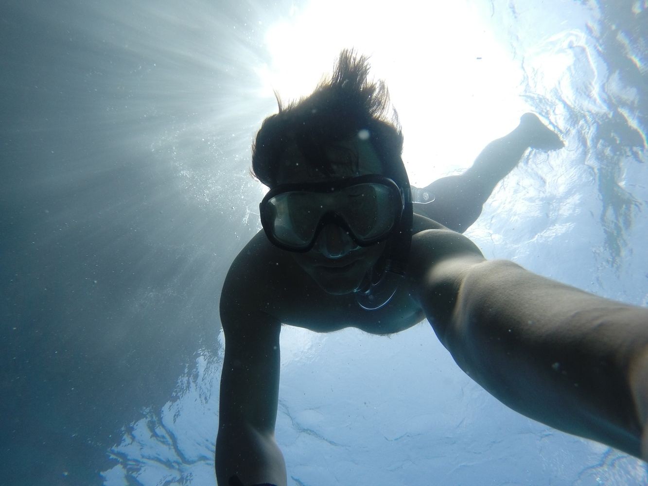 Diploma of Marine Conservation Volunteering