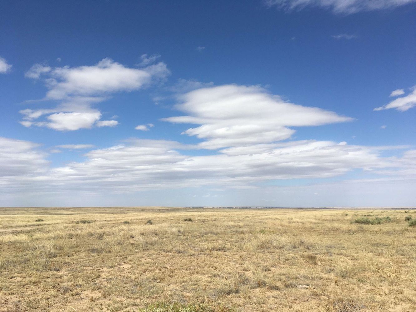 Southeast Colorado Wildlife Weekend - Fall Migration and Tarantulas