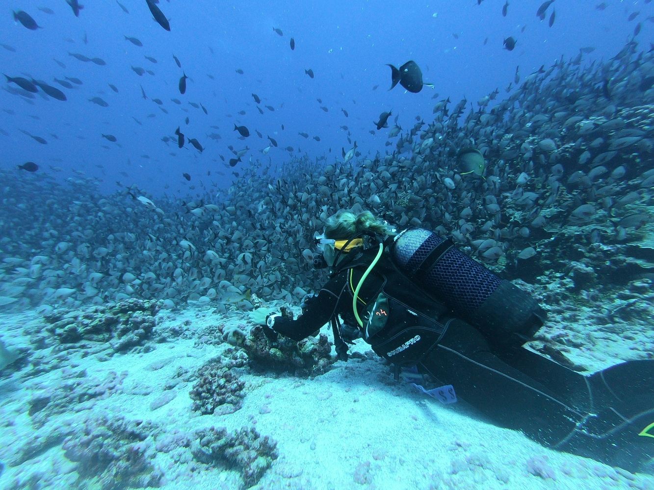 SSI Advanced diver course