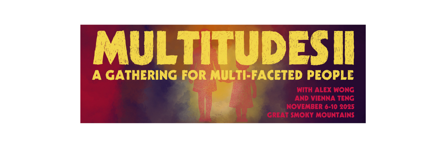 Multitudes II: A Gathering For Multi-Faceted People