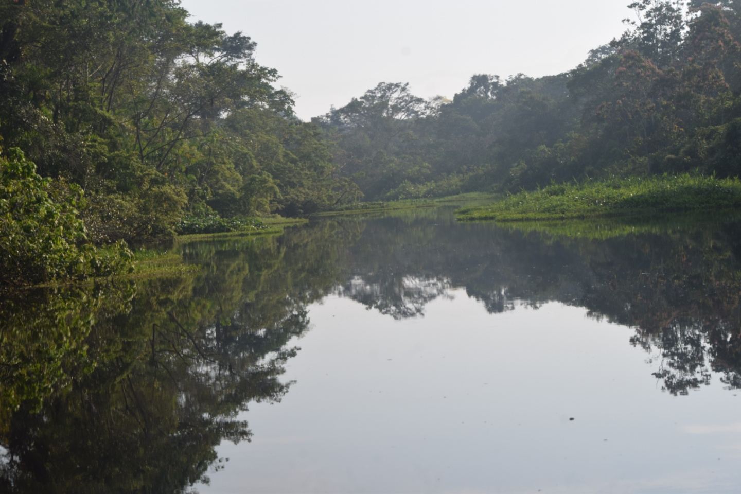 TOUR COMPLETO YASUNI AMAZONIA ECUADOR