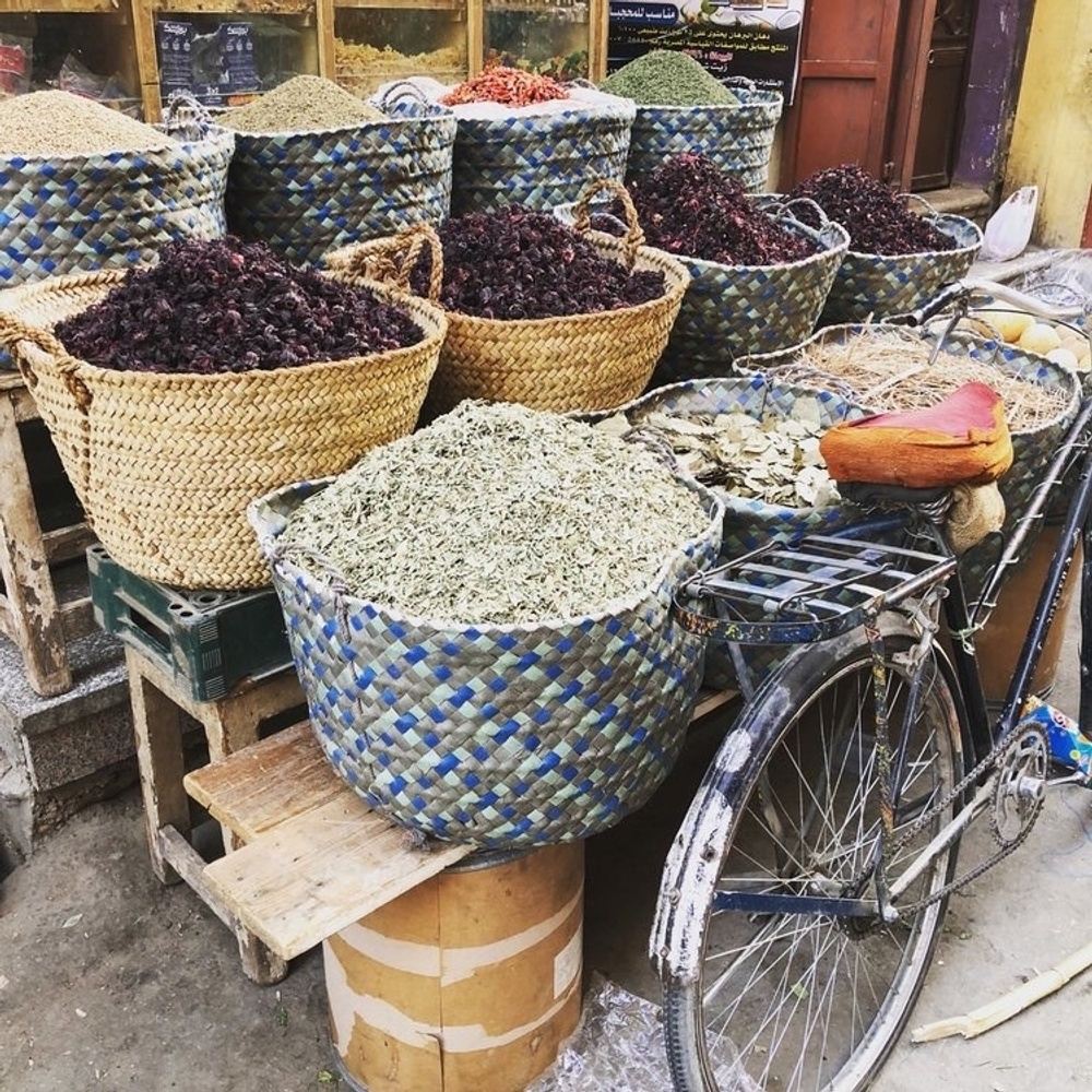 Explore Morocco 2024