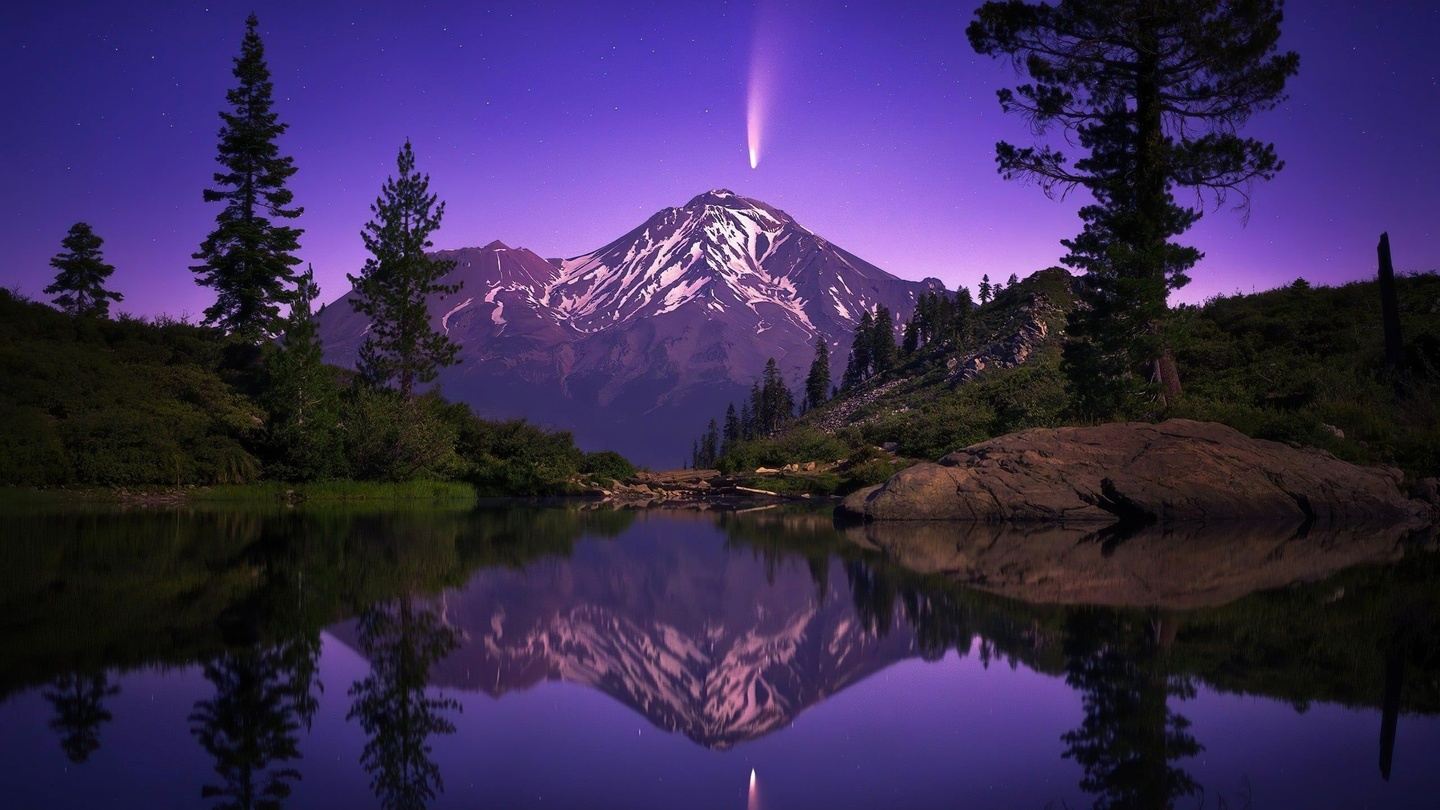 Radiant Essence: Private Women's Wellness Immersion