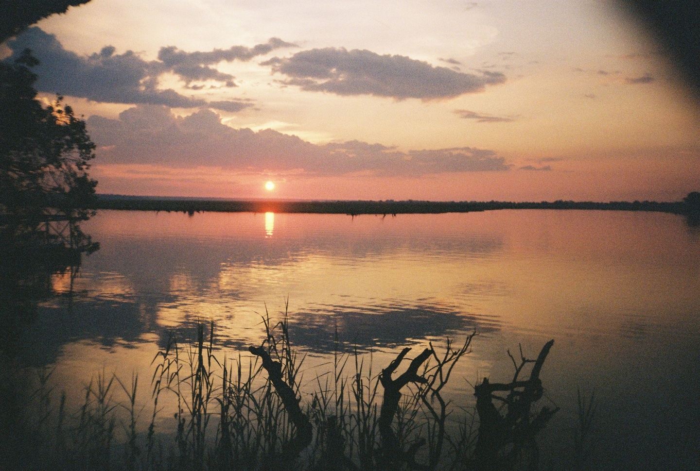 8-Day Yoga & Safari Retreat with Saskia Farr