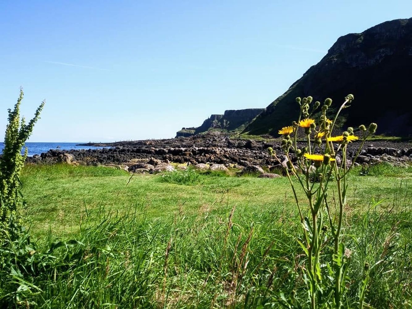 Ireland- The Best of Ireland