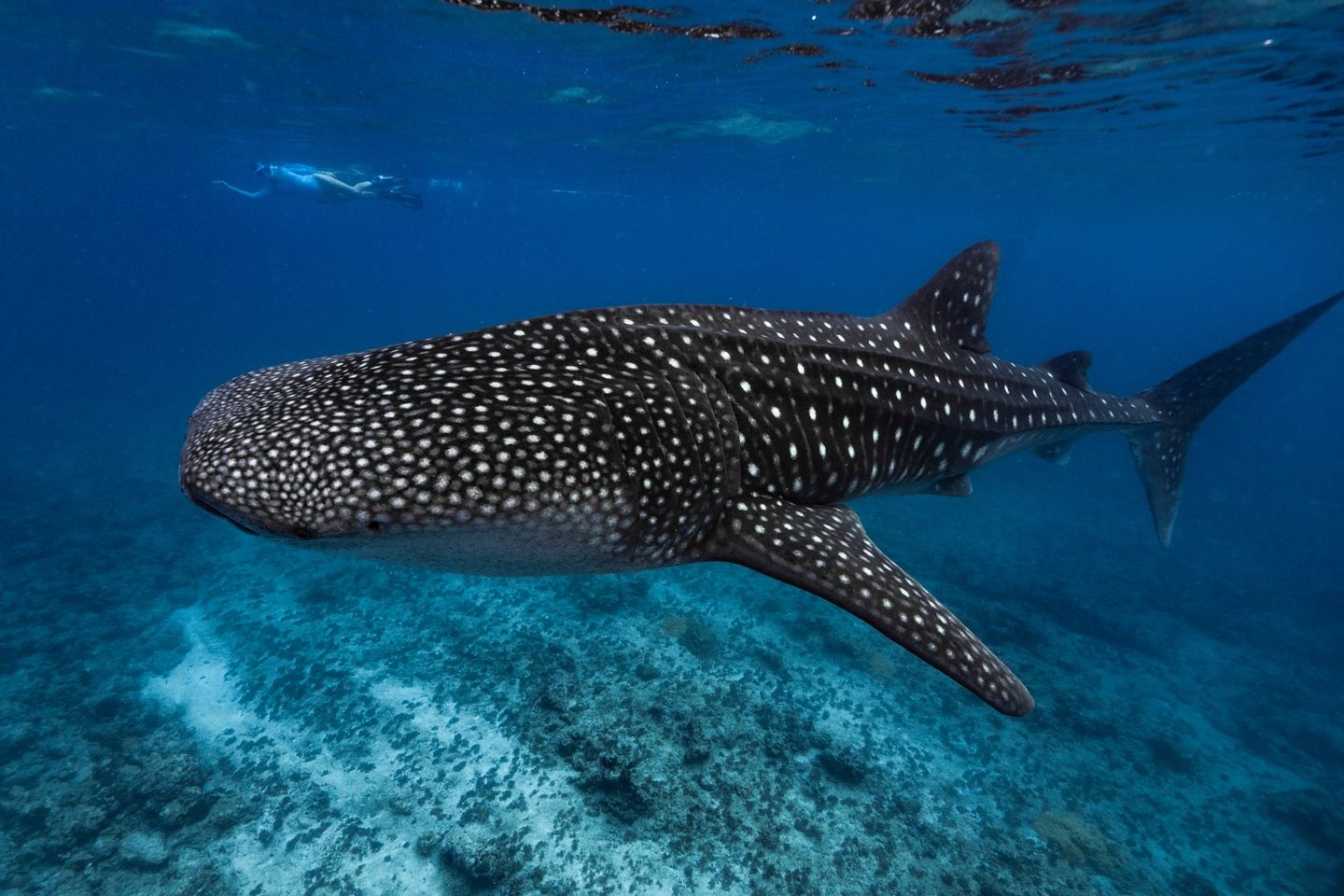 Maldives Girls Trip September 2026