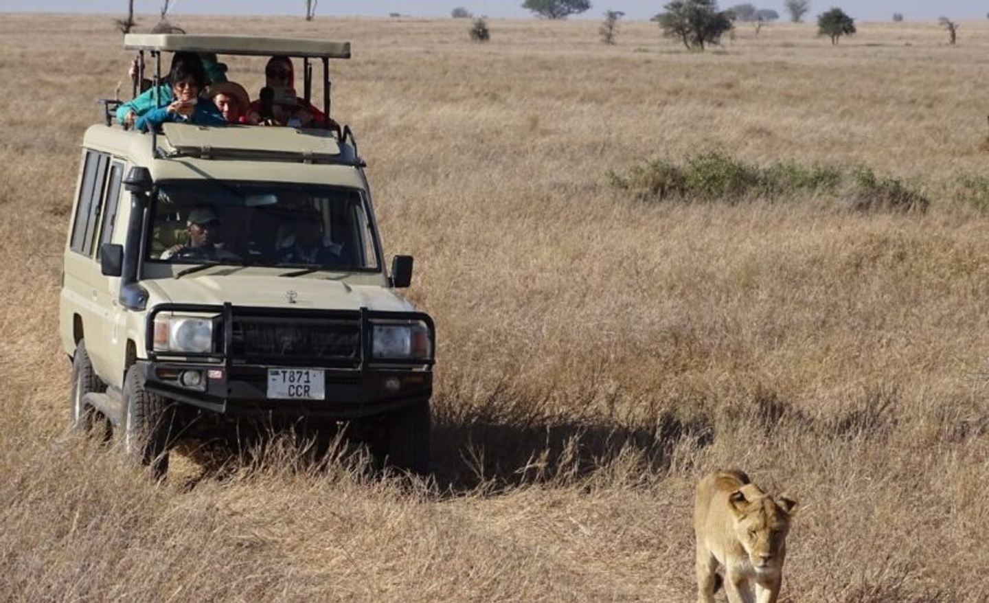 4 days group Maasai Mara and Lake Nakuru in upgrade lodges