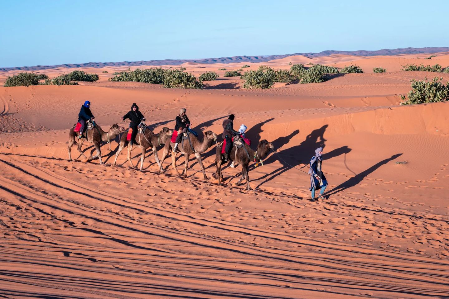 Moroccos Colourful Medinas & Desert Dreams