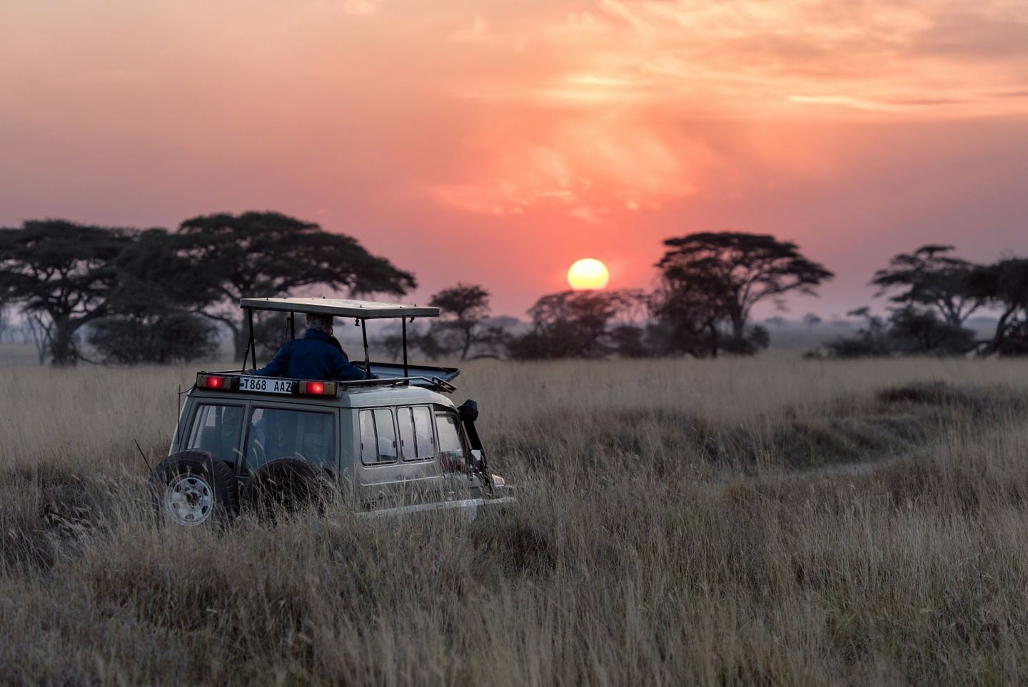 Tanzania & Rwanda: Safari and Primates Expedition