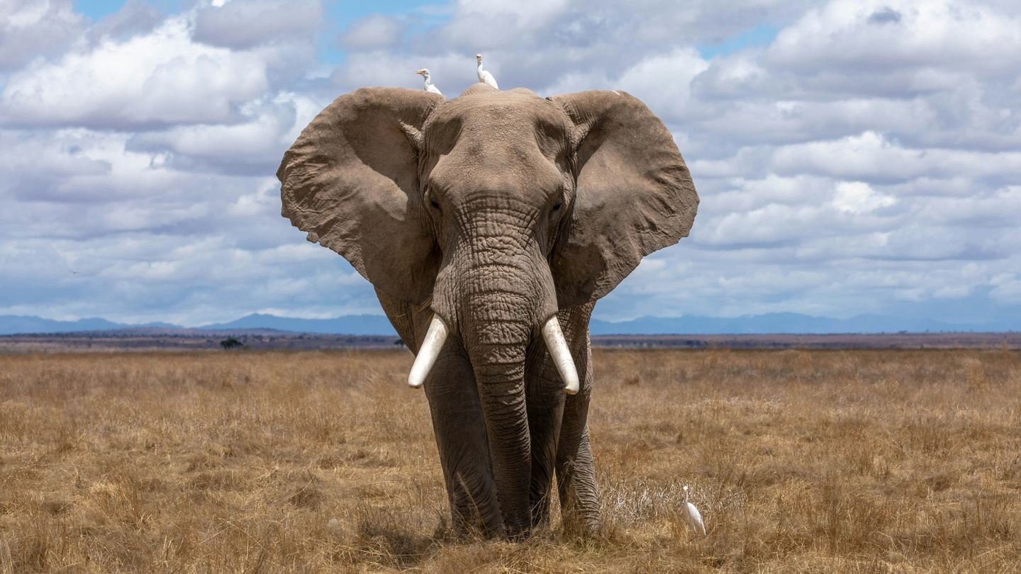 Best of South Africa