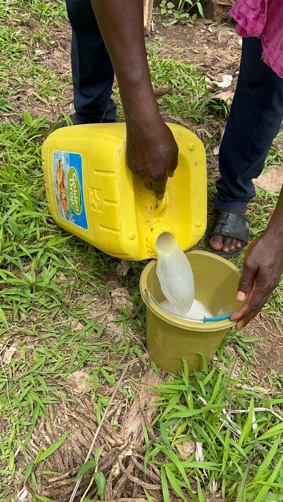 Palm wine tapping tour