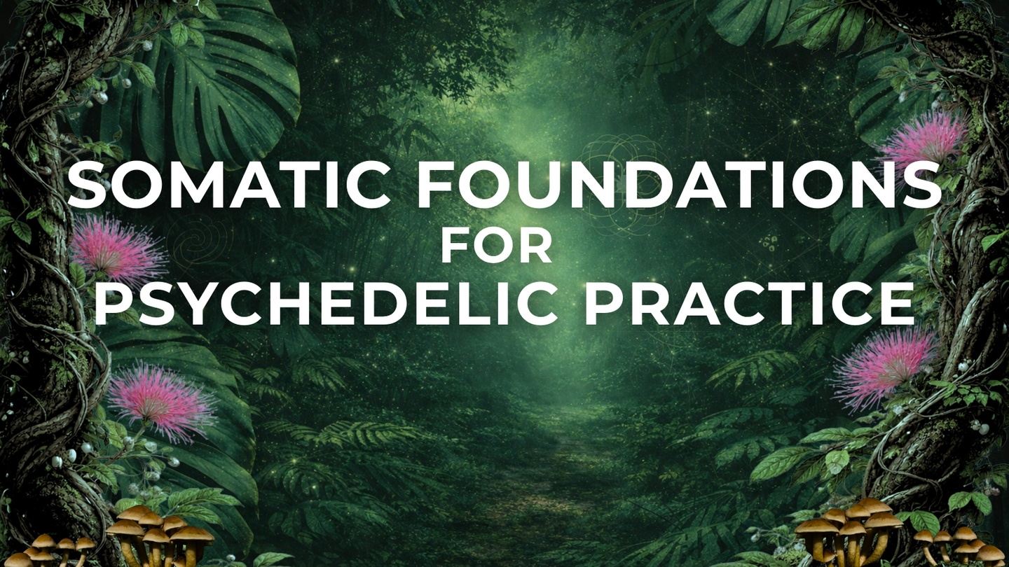 Somatic Foundations 5 Week Online Immersion with Atira Tan