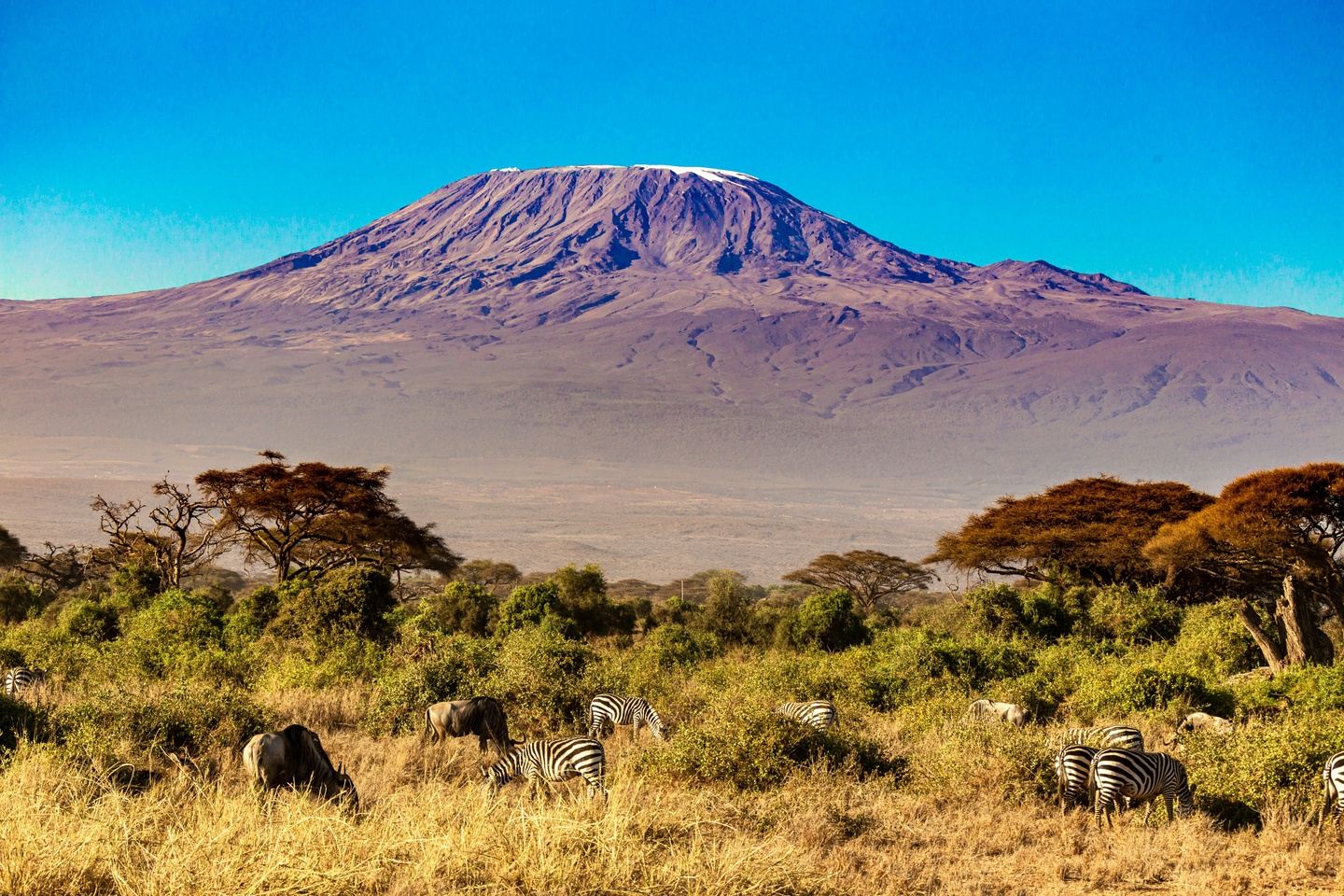Kilimanjaro Leadership Expedition - June 2026