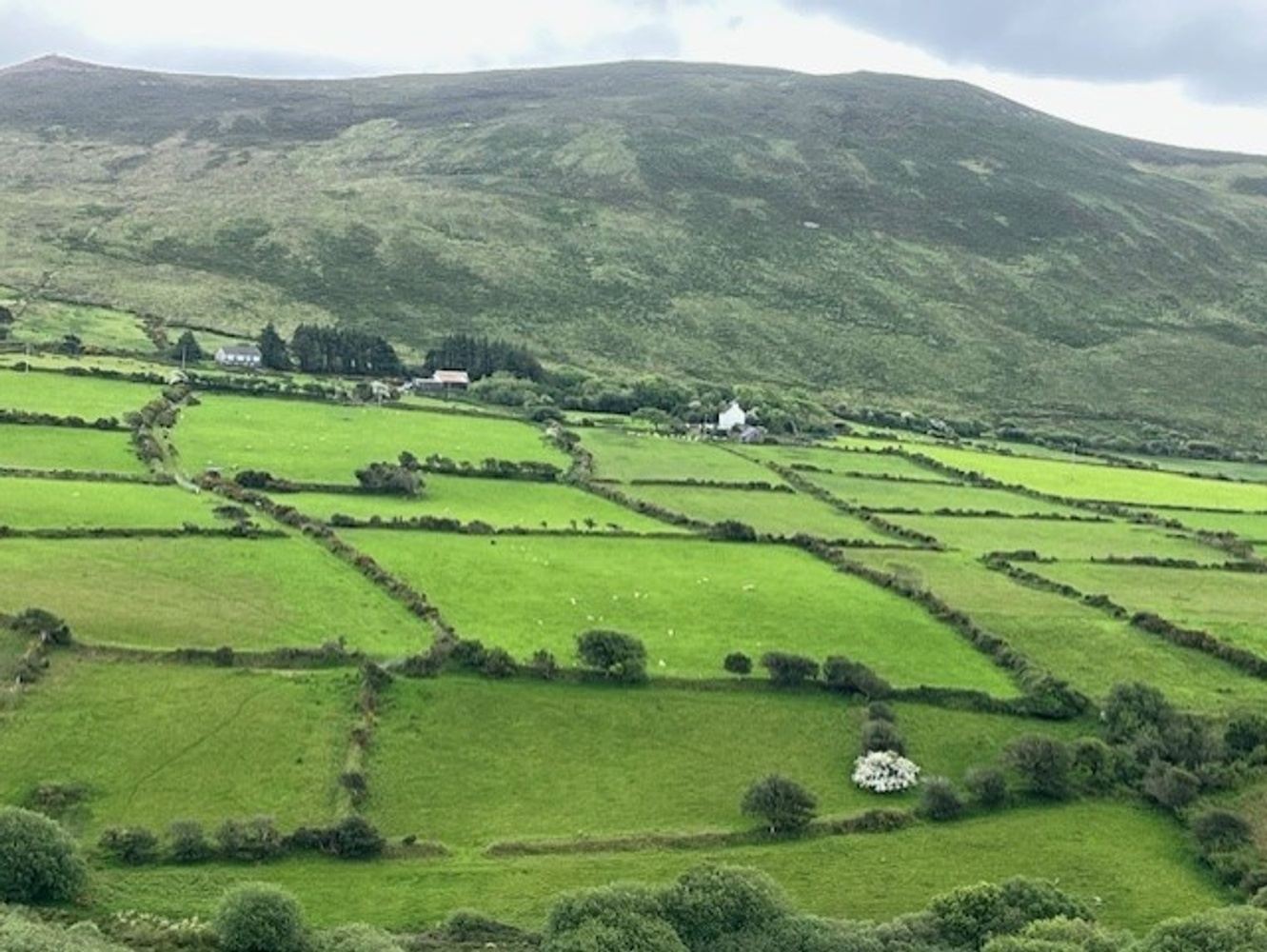 The Food Culture of Ireland w/Dublin area extension!