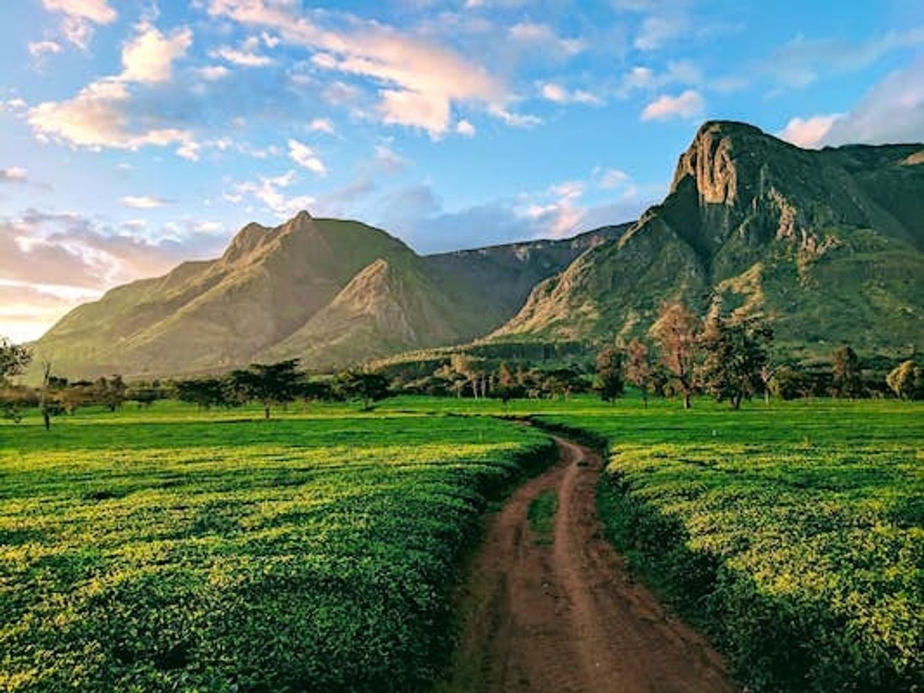 John & Sarah's Mulanje Adventure
