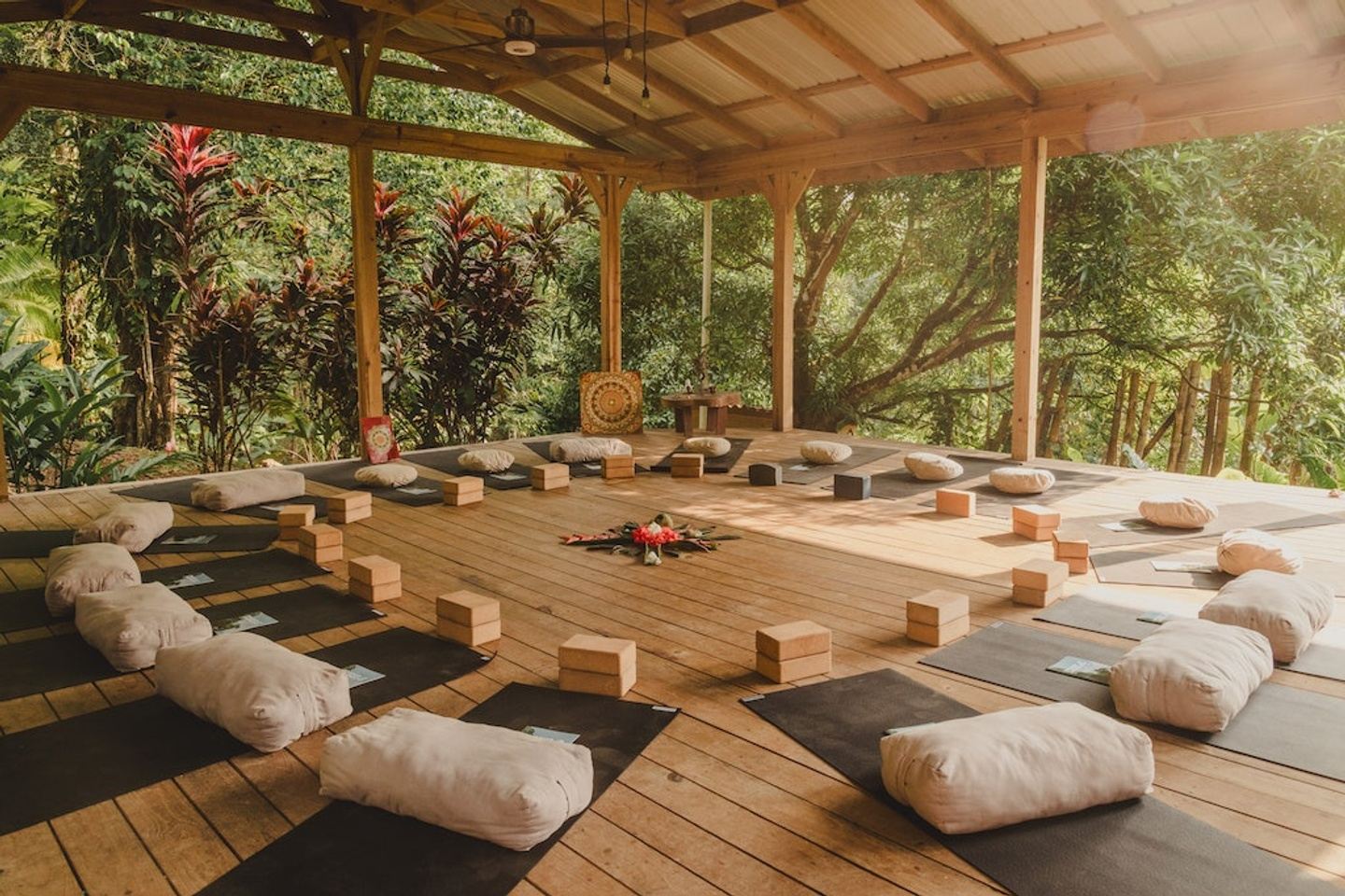 200 Hour Yoga Teacher Training