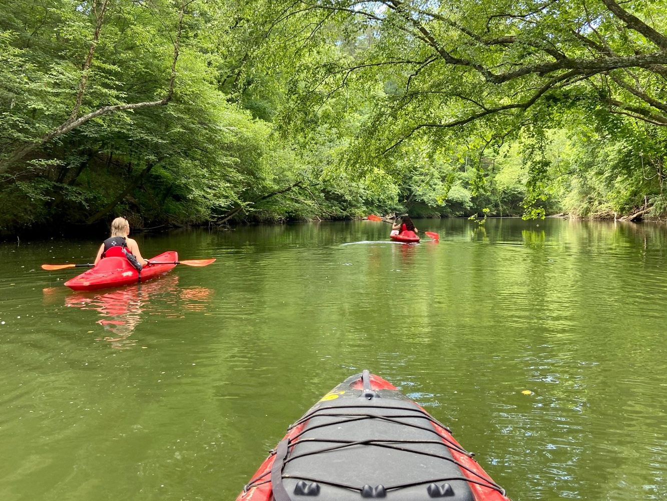 4 Hour Cahaba Paddle - Grants Mill